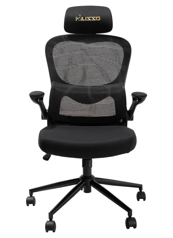 MUSSO C10 Ergonomic Chair 2D Headrest and Flip Armrest Ergonomic Office Chair